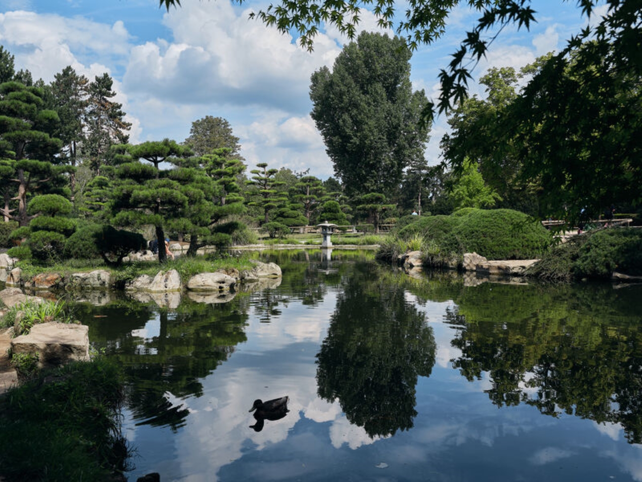Taking a breather during the UEFA EURO 2024Lake in the Japanese Garden, the trimmed trees are reflected in the lake.