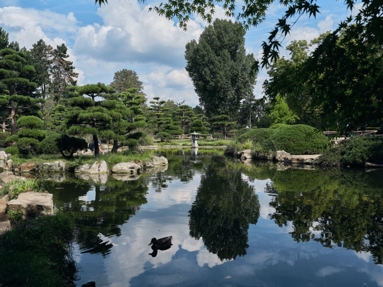 Verschnaufen während der UEFA EURO 2024See im Japanischen Garten, die getrimmten Bäume spiegeln sich im See.