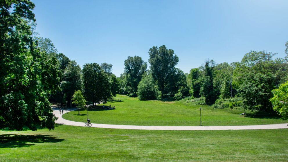 Ein Park mit weiter grüner Wiese durchbrochen von einem Weg, im Hintergrund Bäume und blauer Himmel