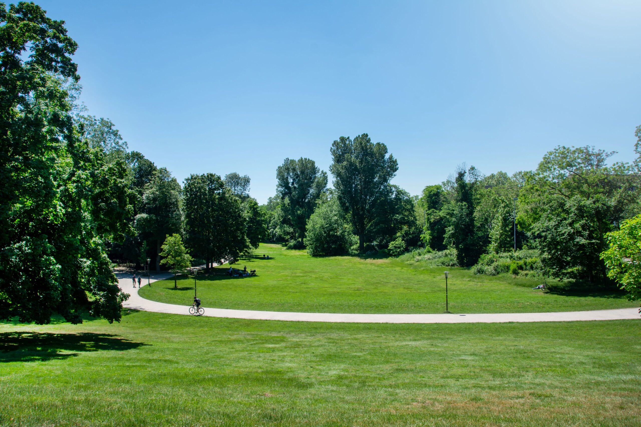 A park with a wide green meadow interrupted by a path, trees and blue sky in the background