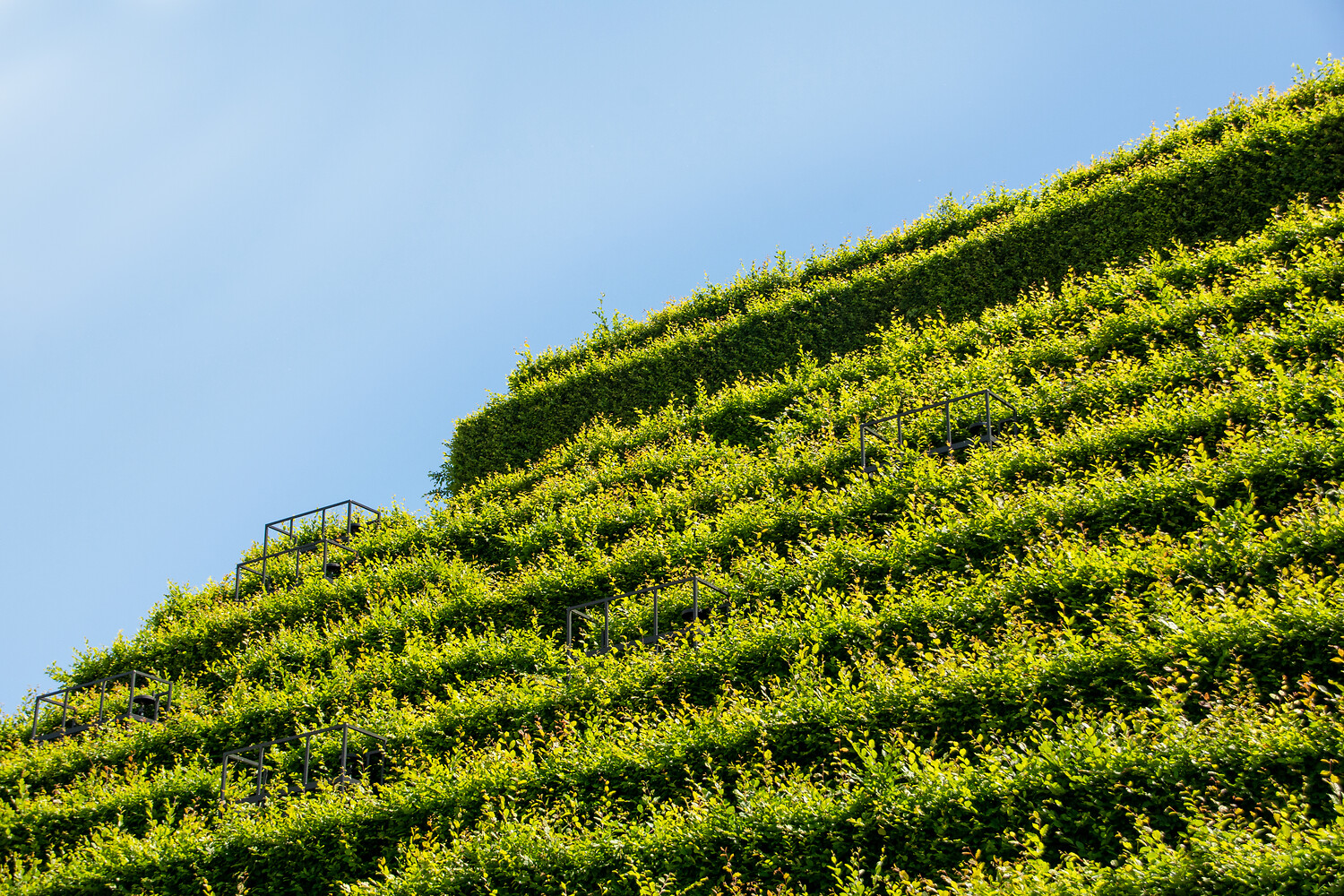 You can see a small section of Kö-Bogen II: blue sky and green plants.